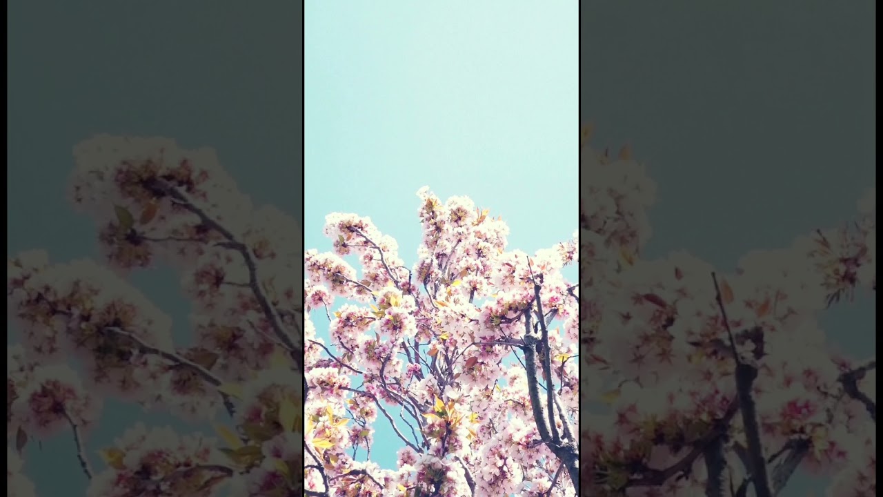 Ambient Music, Relaxing Music, Background Music, Meditation and Yoga music 