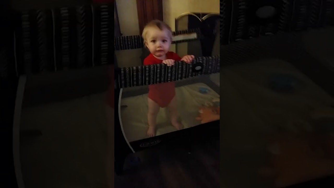 Archer Wolf Phone Fitz Fox Playpen