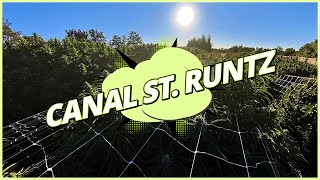 Canal St. Runtz - LUMA California Farms - Canal St. Runtz Strain