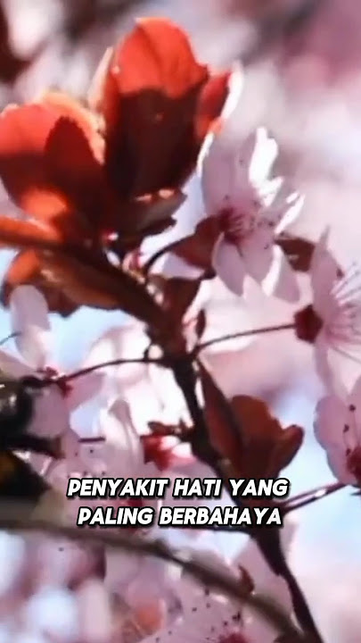 Penyakit hati yang paling berbahaya #quotes #motivasi #katakatabijak