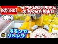 【あきらめ最後の奇跡】 モモンガ オーさんしょうさん 2025.10.5 #ラウンドワン #クレーンゲーム #ちいかわ #モモンガ