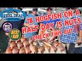 Cleaning fish - 18 Hogfish on a Halfday is nuts!