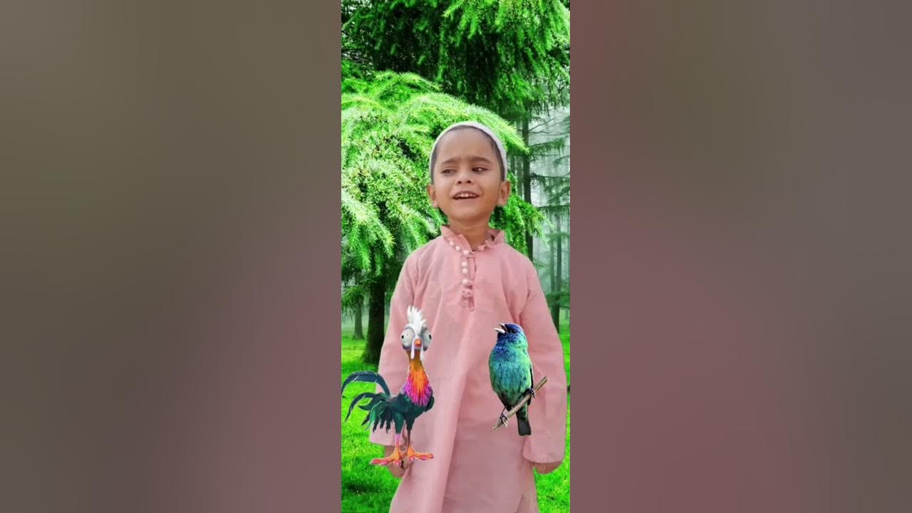 eh-thi-chidiya-ek-thi-murgi-kid-nursery-s-rythem-song-viral