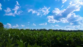 Nikon D7000 times lapse with DP Stage Zero