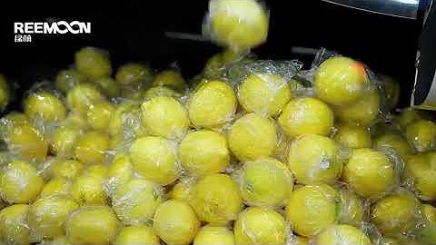 Reemoon Lemon Sorting Line Solution