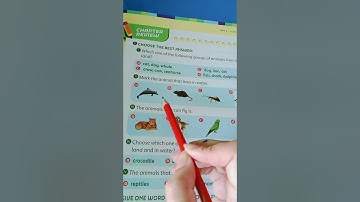 understanding stem Grade|2|Unit 1 More about Animals| Exercise McQ solved