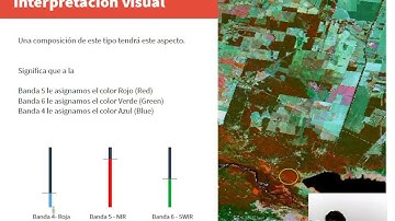 Clase Unidad 3 interpretación visual