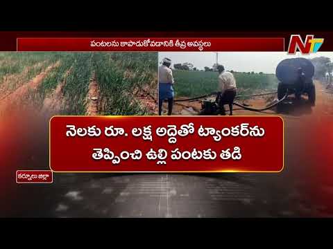 El Nino effect on Kurnool | Special Report | NTV Telugu
