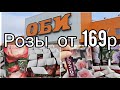 ОБИ-Розы🌹🌿 в коробках,большой выбор от 169руб