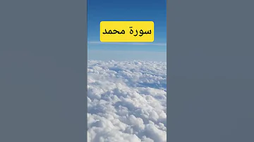 سورة محمد الشيخ محمد الفقيه Qurantilawat Quranrecitation Surahmuhammad Islamicstatus Shorts 