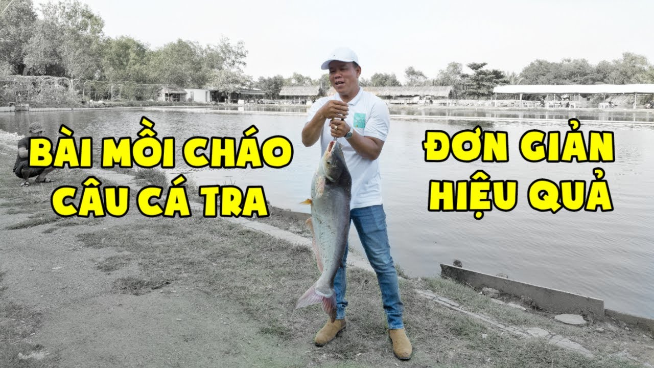 Chia Sẻ Mồi Cháo Câu Cá Tra Đơn Giản Hiệu Quả | Chung Nguyễn Fishing