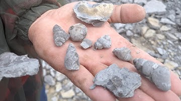 Collecting Awesome Fossils in Southern Ontario! Trilobites | Ontario Fossil Hunting | Rockhounding