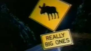 Pep Boys Moose