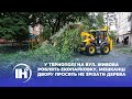 У Тернополі на вул. Живова роблять екопарковку, мешканці двору просять не зрізати дерева
