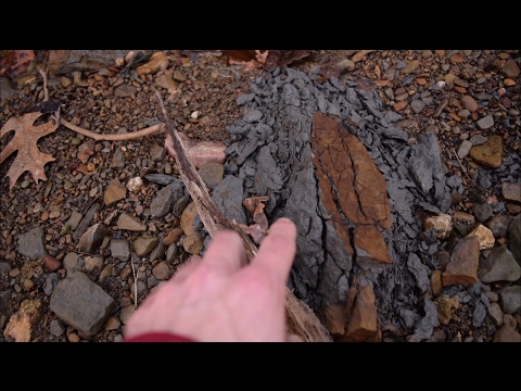 فيديو: كيف تجد الطين