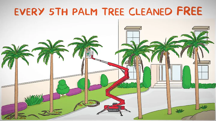 Palm Cleaning HD