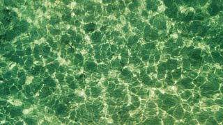 Dancing Light Beneath the Waves | 3 Hours of Tranquil Ocean Beauty