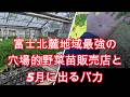 知ってる?富士北麓地域最強の園芸専門店の野菜苗、5/15現在の畑の様子、5月に出るバカ虫【農業・家庭菜園・自給自足】
