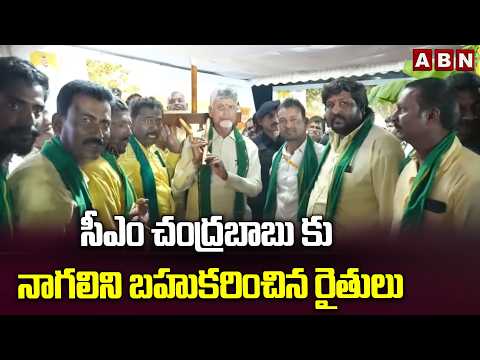 సీఎం చంద్రబాబు కు నాగలిని బహుకరించిన రైతులు | Farmers Gift To CM Chandrababu | ABN - ABNTELUGUTV
