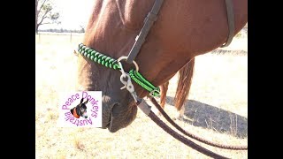 Horse Rope BITLESS Bridle Attachment Side Pull Noseband 
