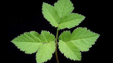 Environmentally extended input-output analysis | Wikipedia audio article