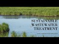 Constructed Wetlands Mp3 Song