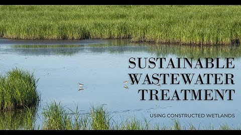 Constructed Wetlands