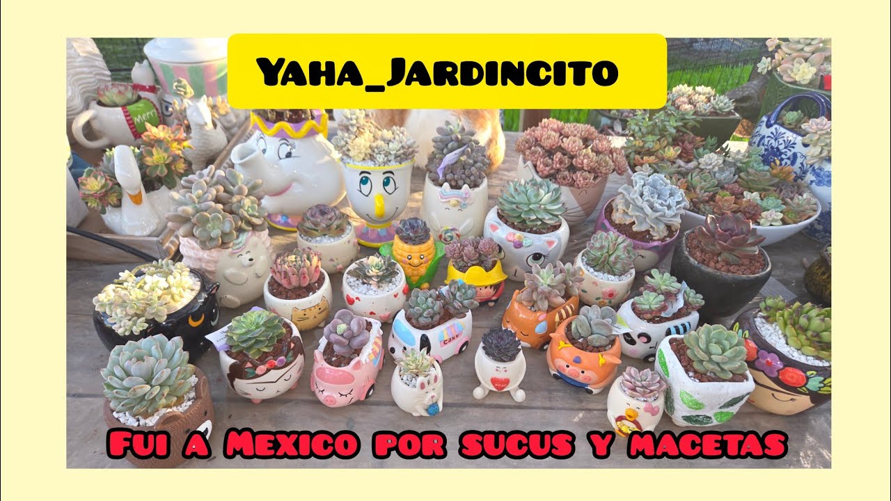 Unboxing de sucus y unas macetas super especiales