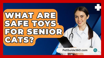 What Are Safe Toys For Senior Cats? - PetGuide360.com