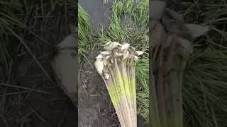 кастинговая. испанка рулит!!