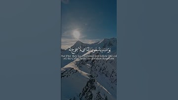 القارئ محمد اللحيدان {سورة طه الآية 104}