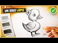 Cómo Dibujar un LINDO PATITO con Un Solo Lápiz - Dibujo Tutorial