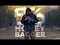 Q    whats q    556 honey badger