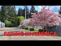 Spring in America 🌸 | A Season of Colors, Flowers, Parks & Beautiful Weather- EP#2