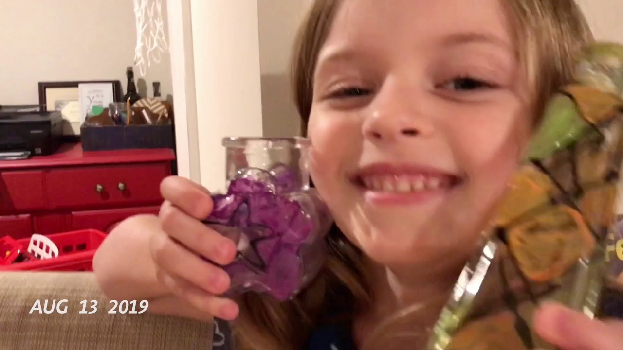 2019—1 Second Everyday