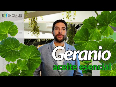 Usos y aplicaciones del aceite esencial de geranio. hqdefault