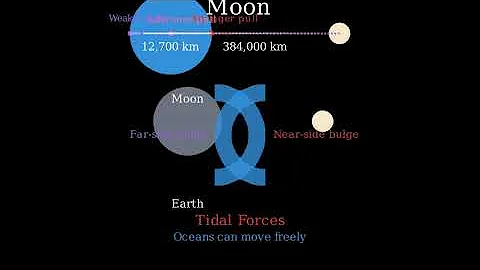 Why Does the Moon Cause Tides on Earth Explained with Gravity