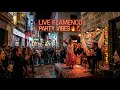 🎶 Chill Flamenco Accordion Live 24/7 | Spanish Study Music