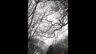 Beech rigging