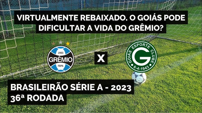 Informações e palpites do PVC para a sétima rodada do Brasileirão -  20/05/2023 - UOL Esporte