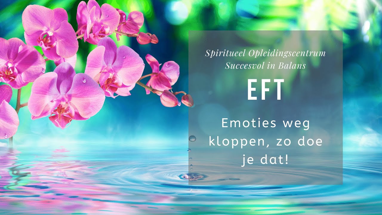 Update New Hoe werkt EFT : emoties weg kloppen