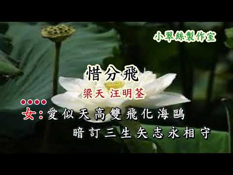 惜分飛 - 梁天 汪明荃