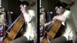 【チェロで弾いてみた】カンピオーネ！ED【Raise】Campione! ending