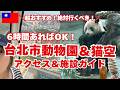 半日で満喫【台北動物園のパンダ&猫空案内】日本で見れないパンダと猫空の空中ゴンドラを同時に楽しむ!