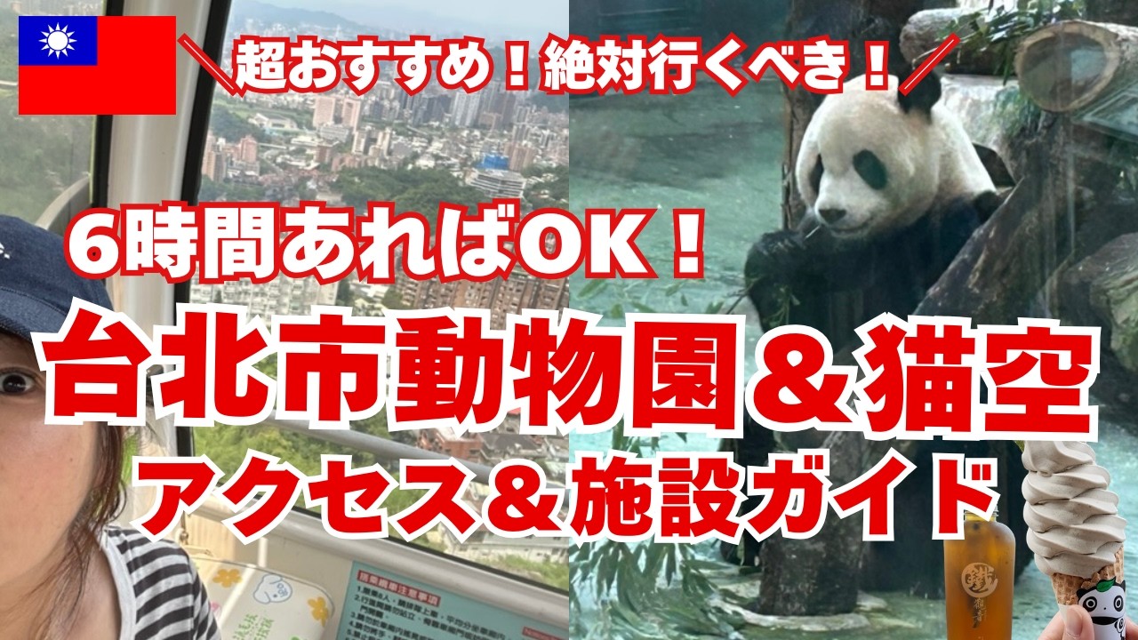 半日で満喫【台北動物園のパンダ&猫空案内】日本で見れないパンダと猫空の空中ゴンドラを同時に楽しむ!