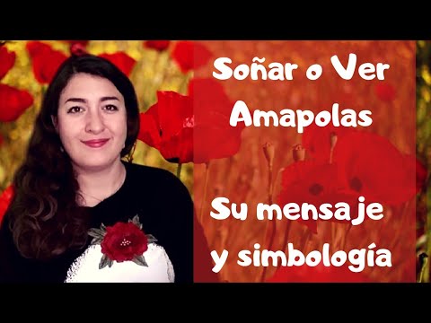 AMAPOLAS 🤩 Soñar o Verlas:  Significado y Simbología ❤️