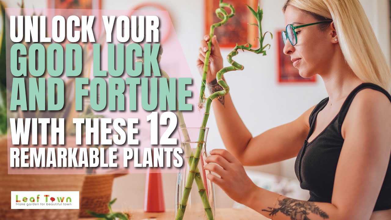 12 Best Fortune Plants that Attract Money and Success! Vastu Plants
