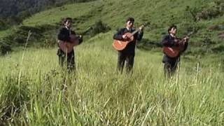 Video thumbnail of "Trio Getsemani"