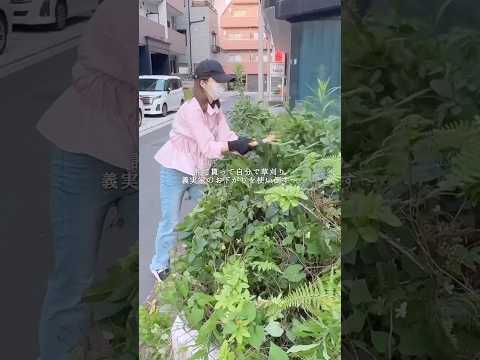片付け4日目　草刈りを楽しむ #片付け