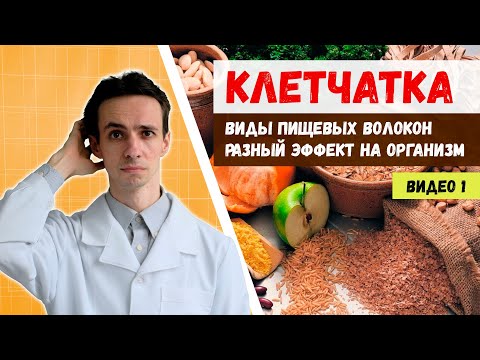 Клетчатка. Как разные виды пищевых волокон 🥕 влияют на наш организм 🍐